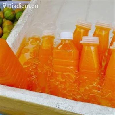 Ngọc Yến – Cam Ép Nguyên Chất
