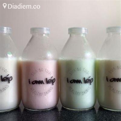 Sữa Bò Tươi I Am Lép